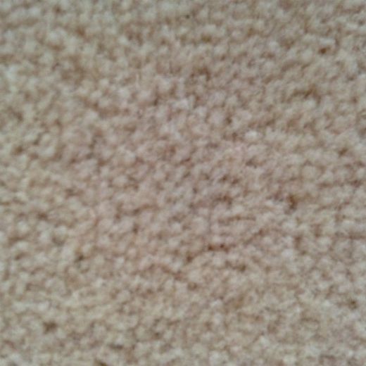 Picture of Heritage Carpet