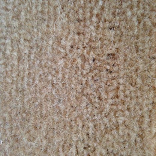 Picture of Heritage Carpet