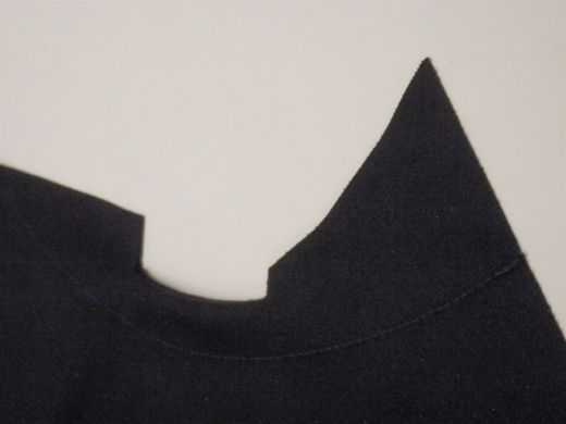 Picture of Baur Conversion Hood (H251)