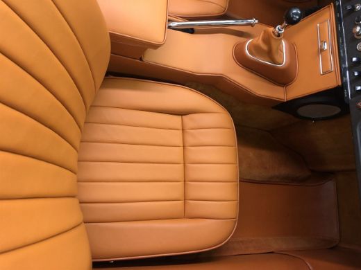 Picture of New Light Tan Interior