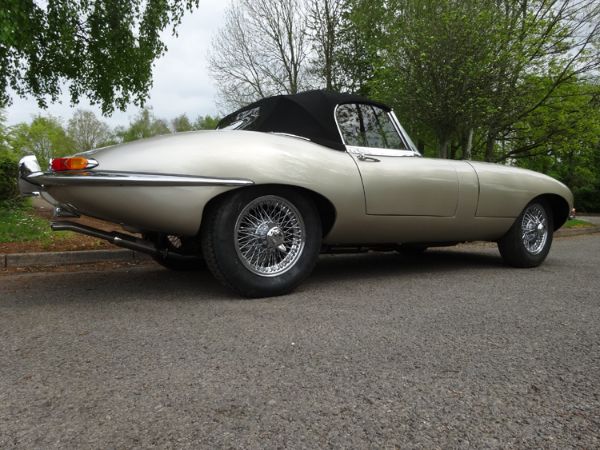 Show details for BAS Trimming Service Picture of BAS Trimming Service