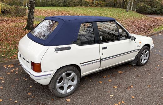 Picture of 205 Hood & Window (H750)